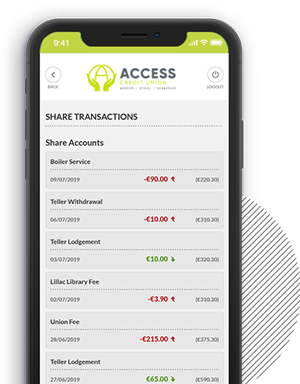 View Account Balances and Transactions