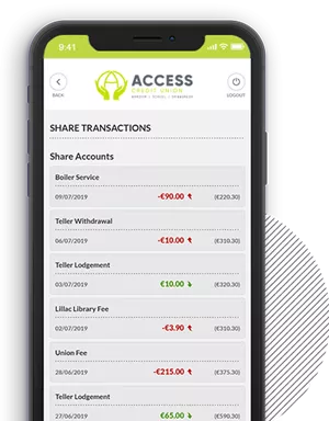 View Account Balances and Transactions